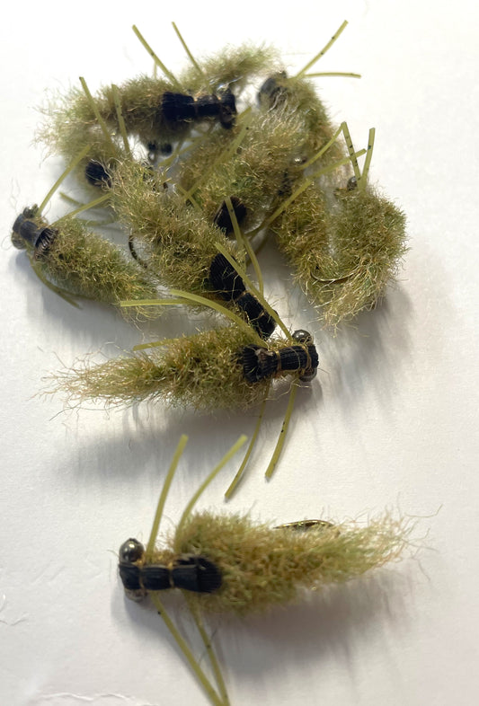 Olive Couta Mudeye - Size #6