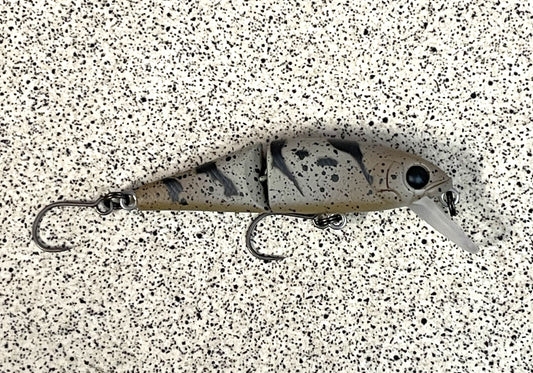 Tackle House Buffet Jointed 51S - #012 Kajika