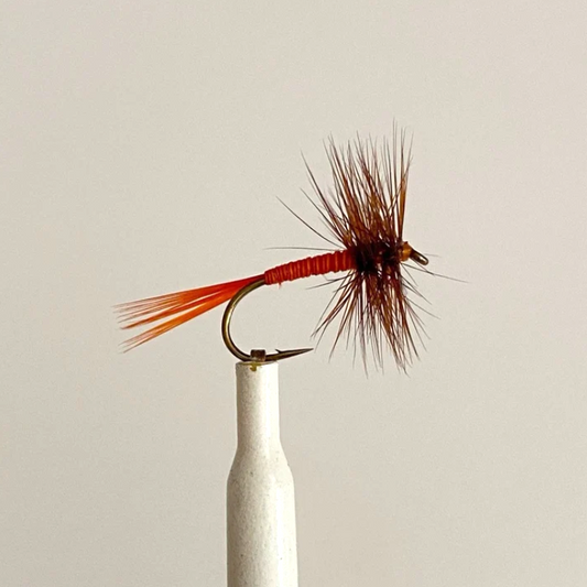 Orange Spinner #16
