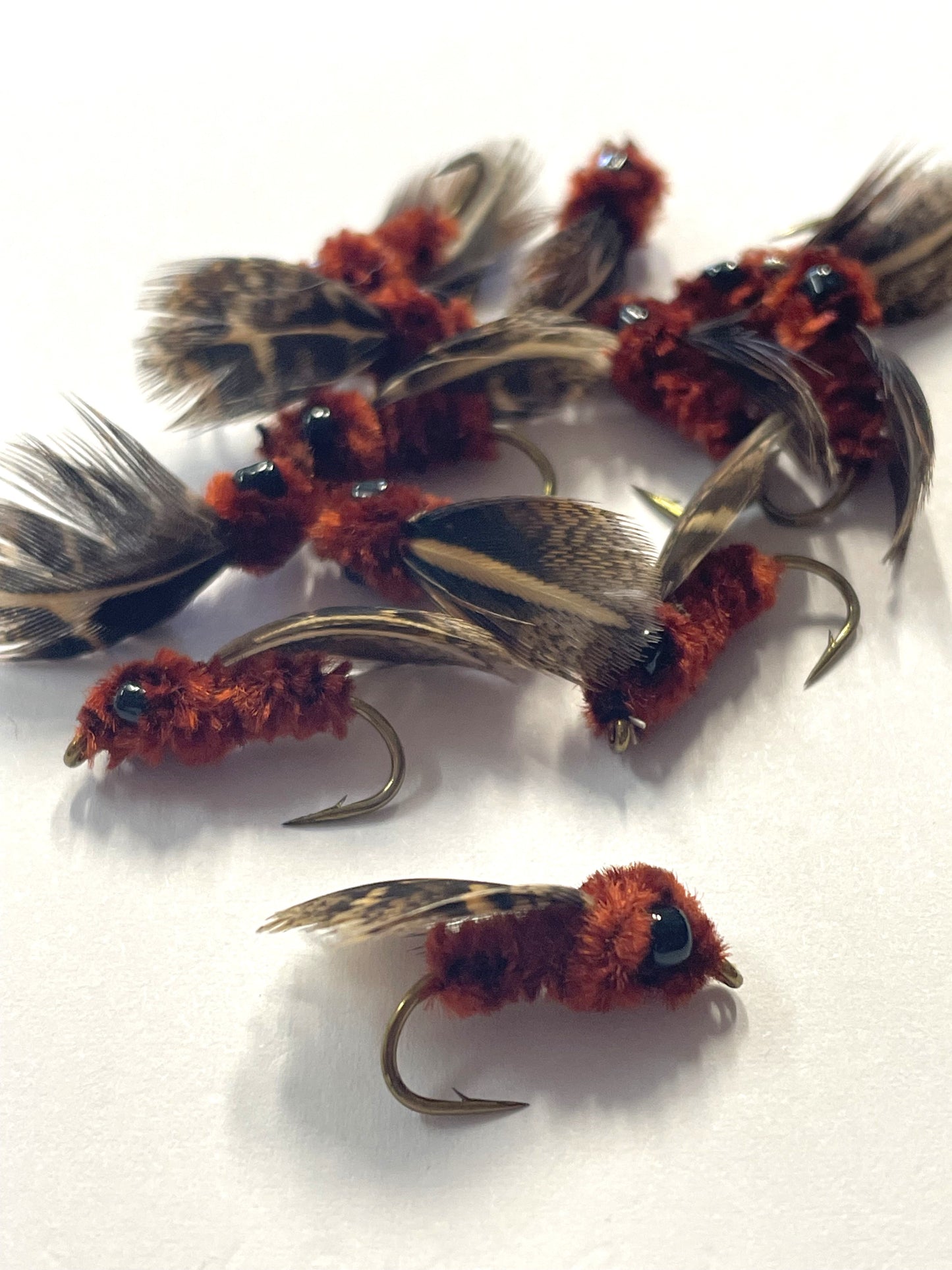 Spider Mudeye - Size #8