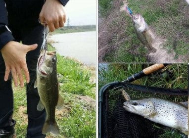 53mm 14g Spotted Spoon