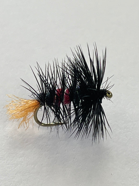 Zulu - Black / Red #14