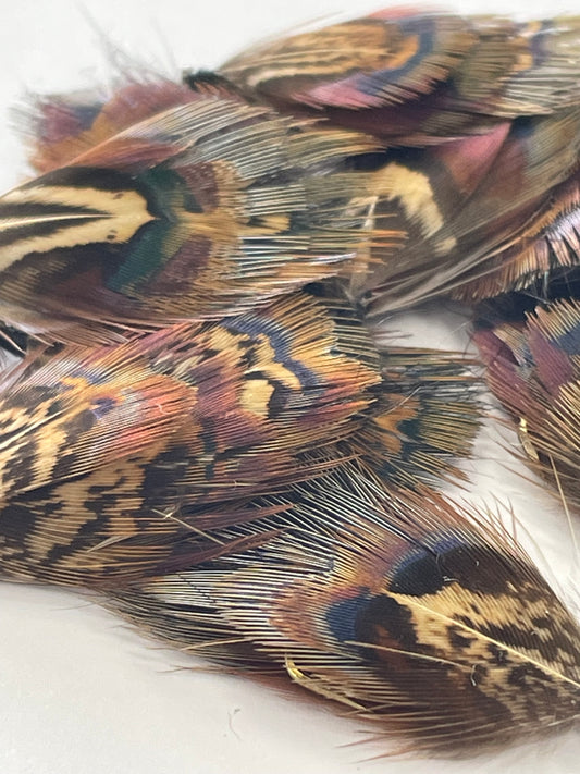 Mrs Simpson Brown #8