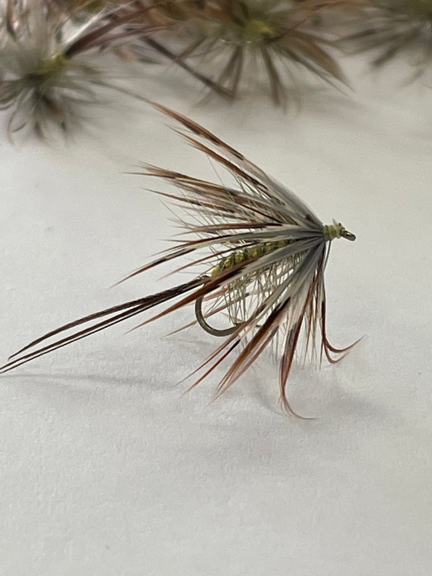 French Partridge Mayfly #10