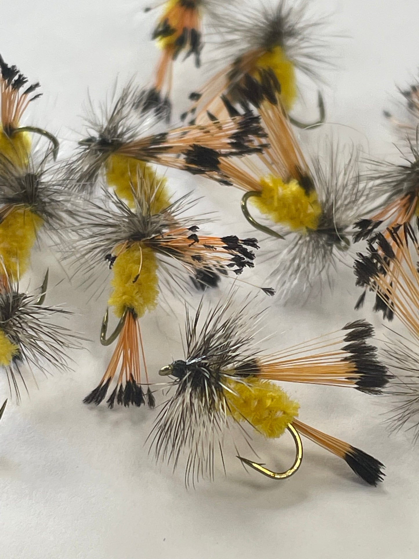 O'Brien's Hopper #14