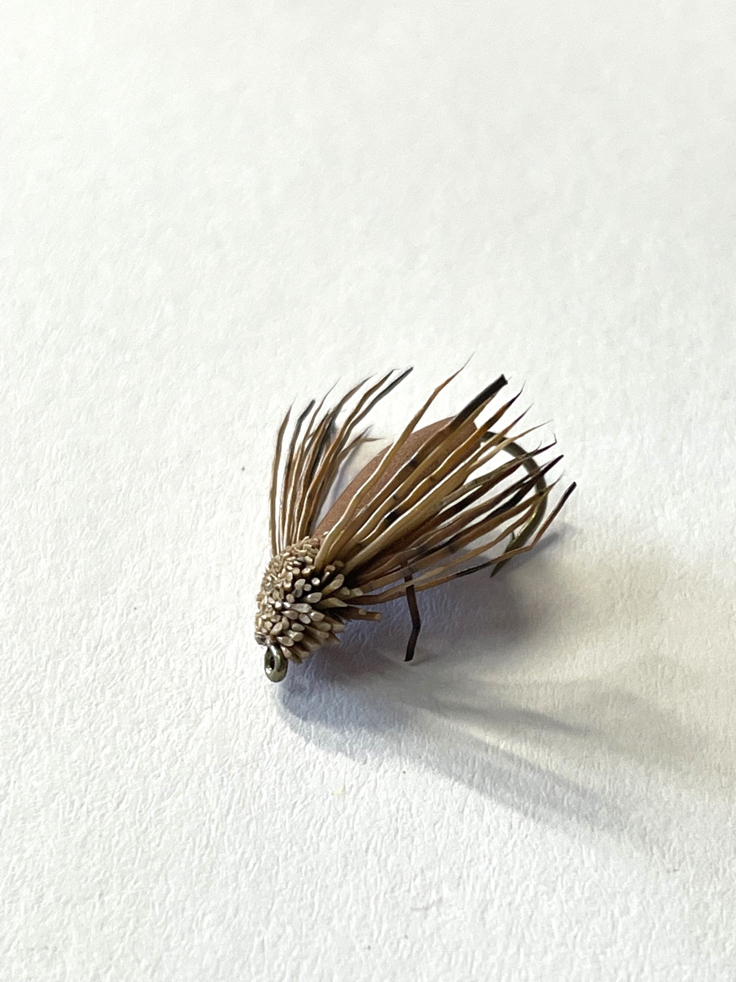 Foam Mudeye Brown - #8