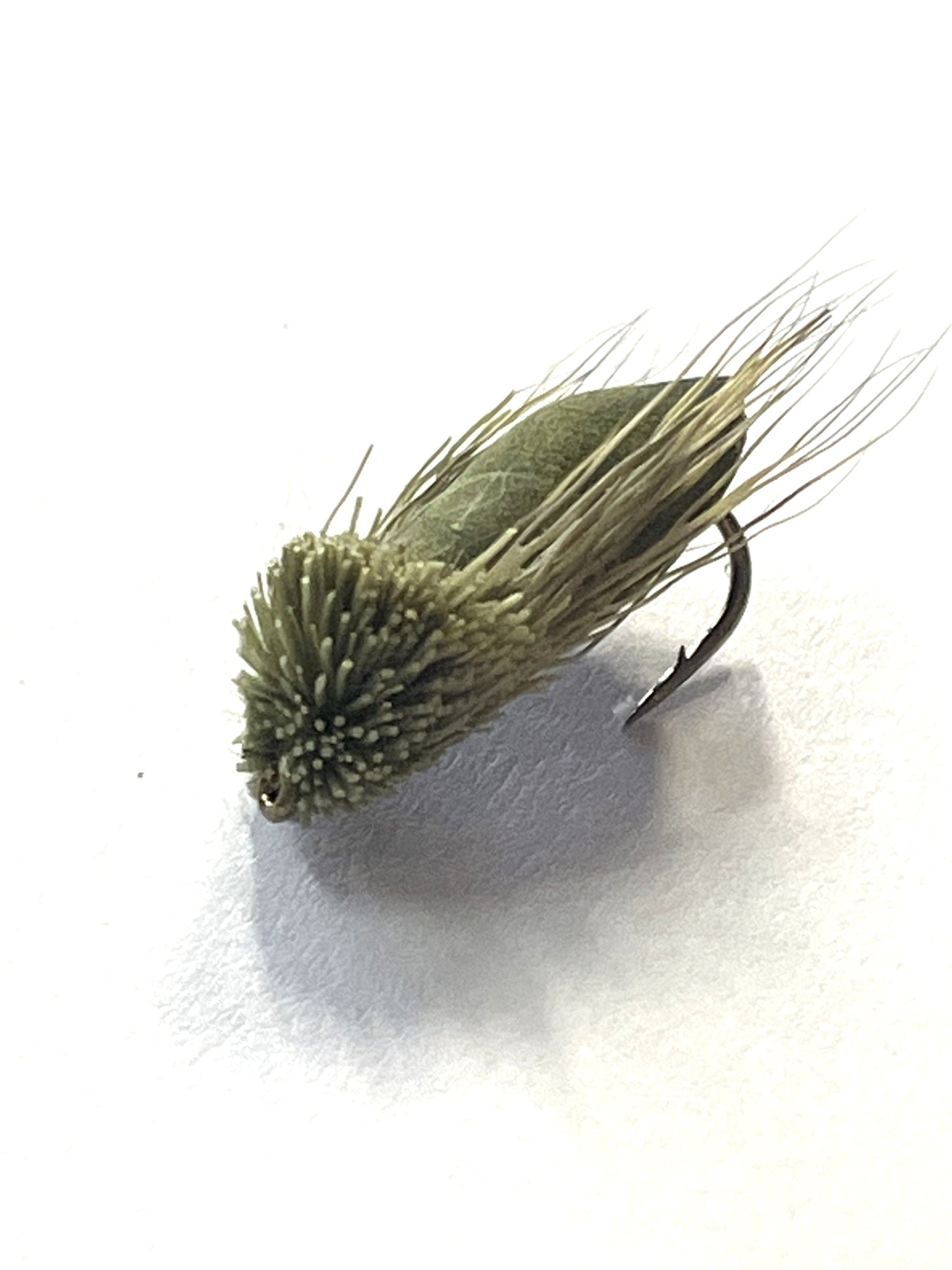Foam Mudeye Olive - #10