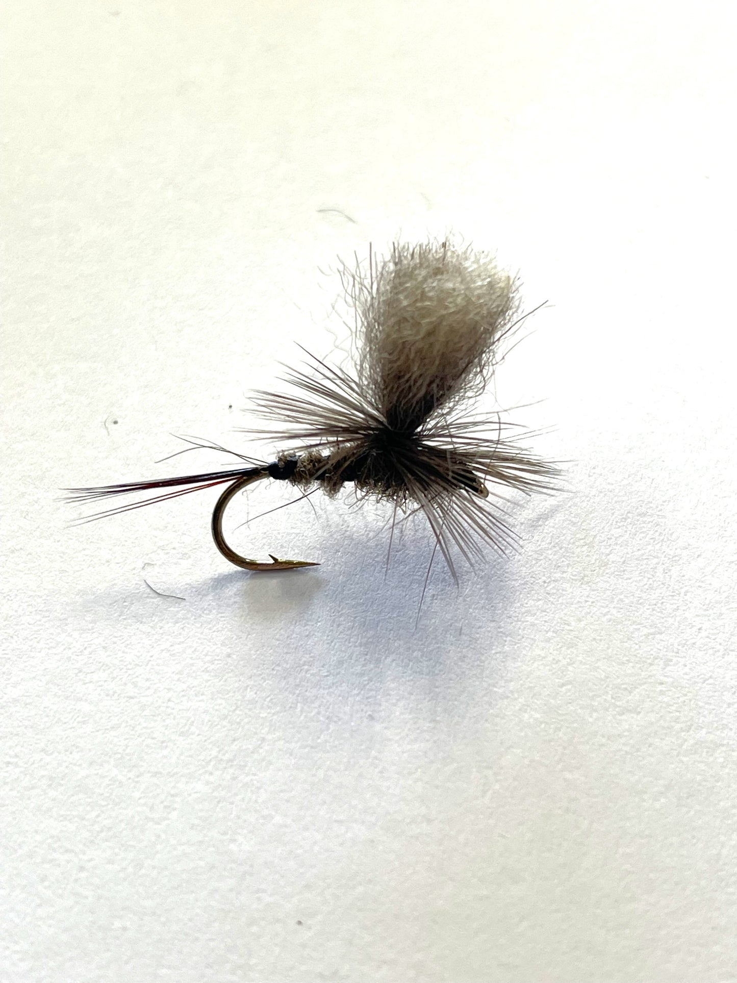 Possum Parachute Dun #12