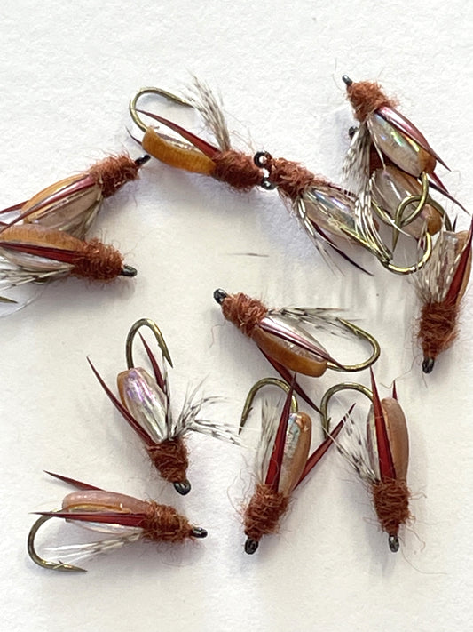 Water Boatman - Brown #14