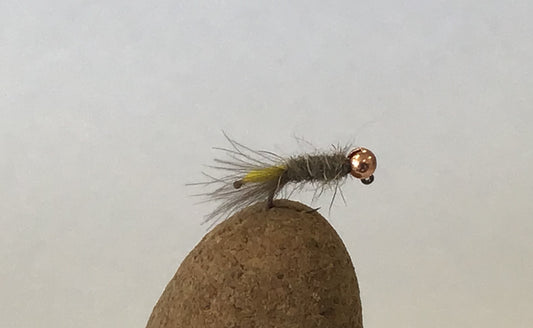 Peeping Caddis (euro) Size #14 Barbless