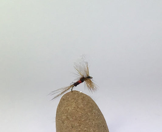 Royal Coachman Variant