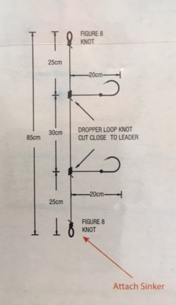 SureCatch River Rig (Size 4 Hook)