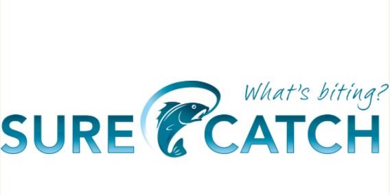 SureCatch Squid Jig 4.0 - Pink