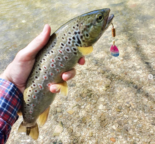 Ilba Tondo Spinner - Rainbow Trout Size #2