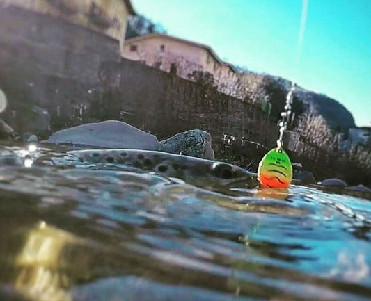 Ilba Tondo Spinner - Fire Tiger Size #2