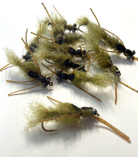 Olive Couta Mudeye Weighted- Size #6