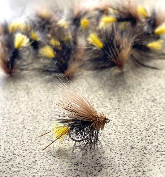 Muddled Kate McLaren #12