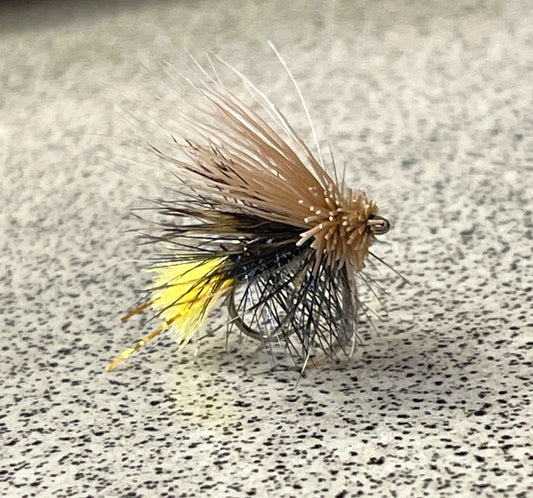 Muddled Kate McLaren #12