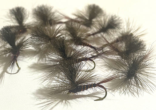 Parachute Claret Possum #12