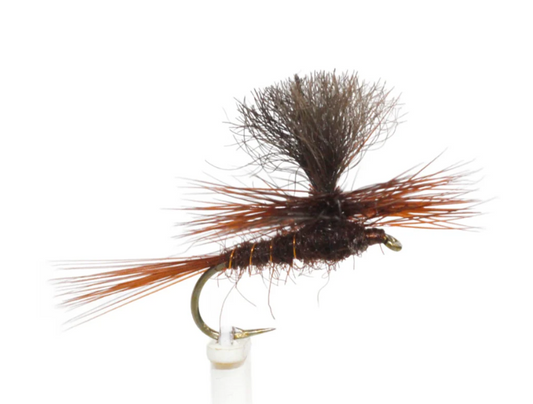 Parachute Claret Possum #12