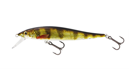 WESTIN Jerkbite SR 7.5 - Real Perch