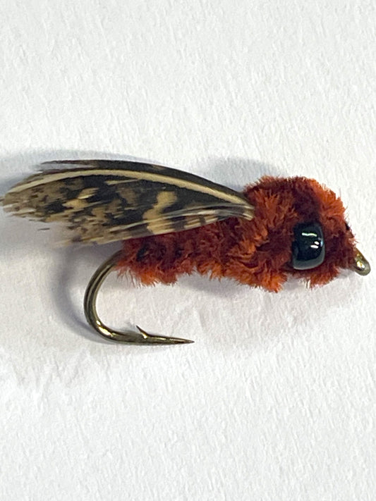 Spider Mudeye - Size #8