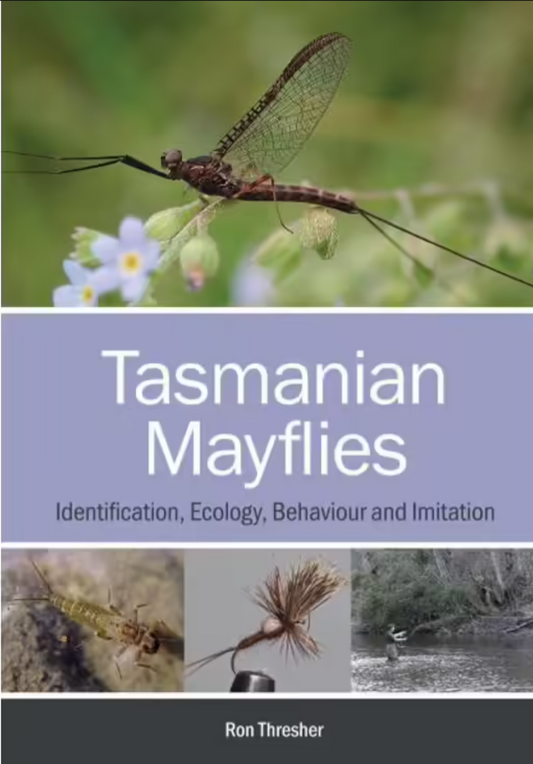 Tasmanian Mayflies by Ron Thresher