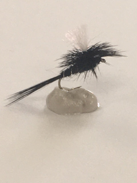 Parachute Black Spinner