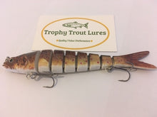 Load image into Gallery viewer, 8 Segment Swimbait - Brown