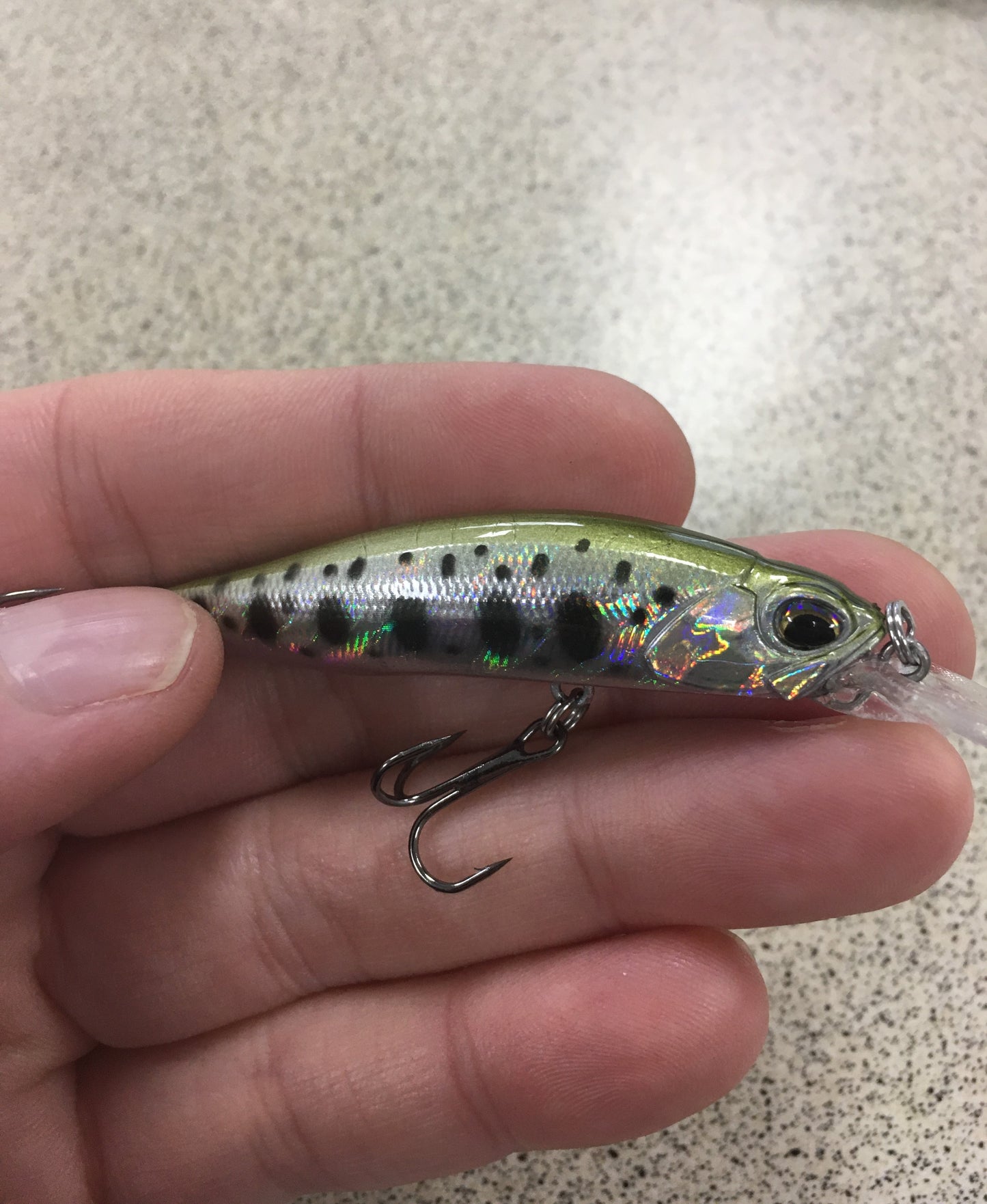 SP63 Suspending Minnow - GSP