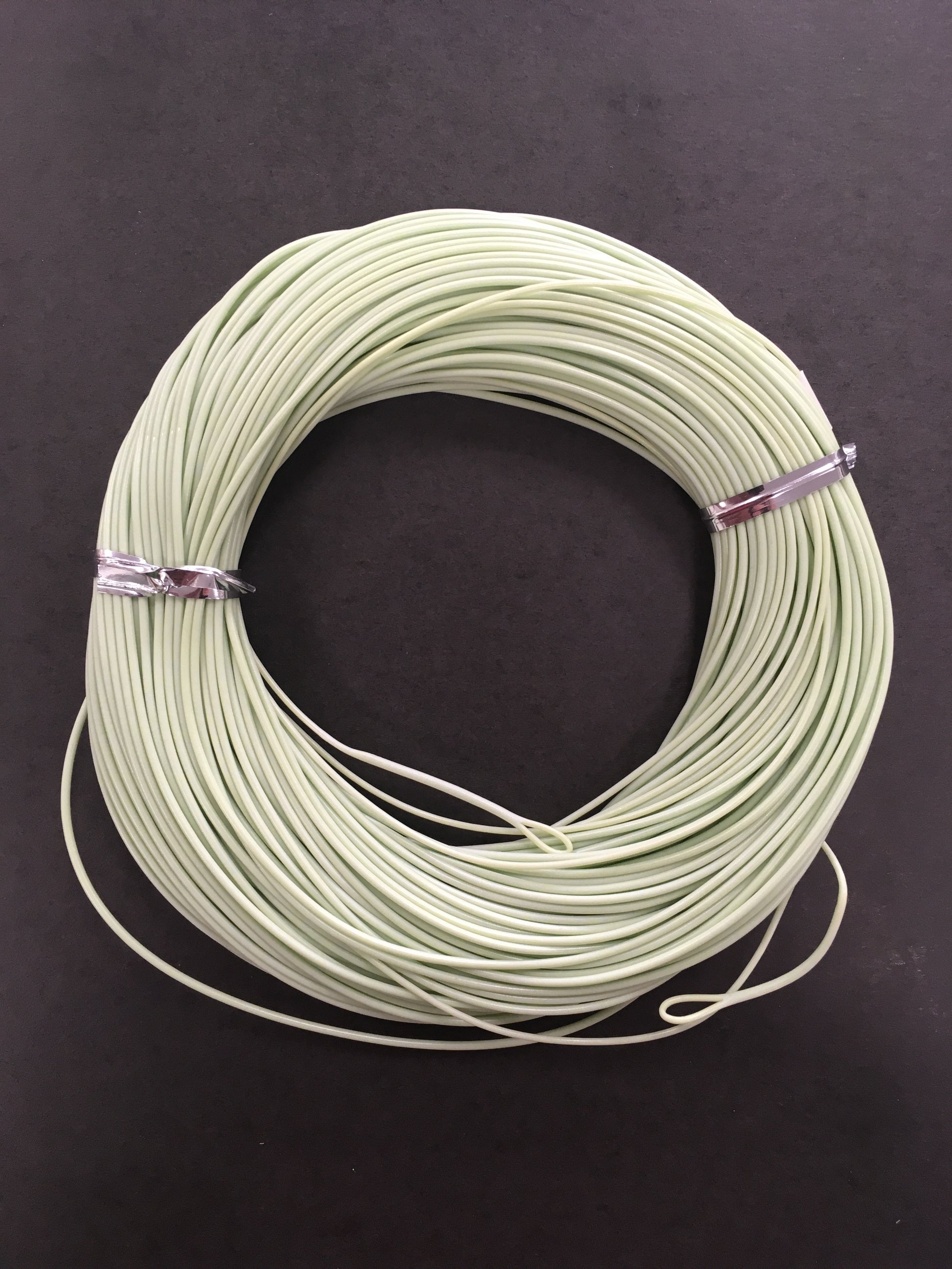Double Taper Fly Line with 2 Welded Loops - Moss Green (5F) – Trophy Trout  Lures and Fly Fishing