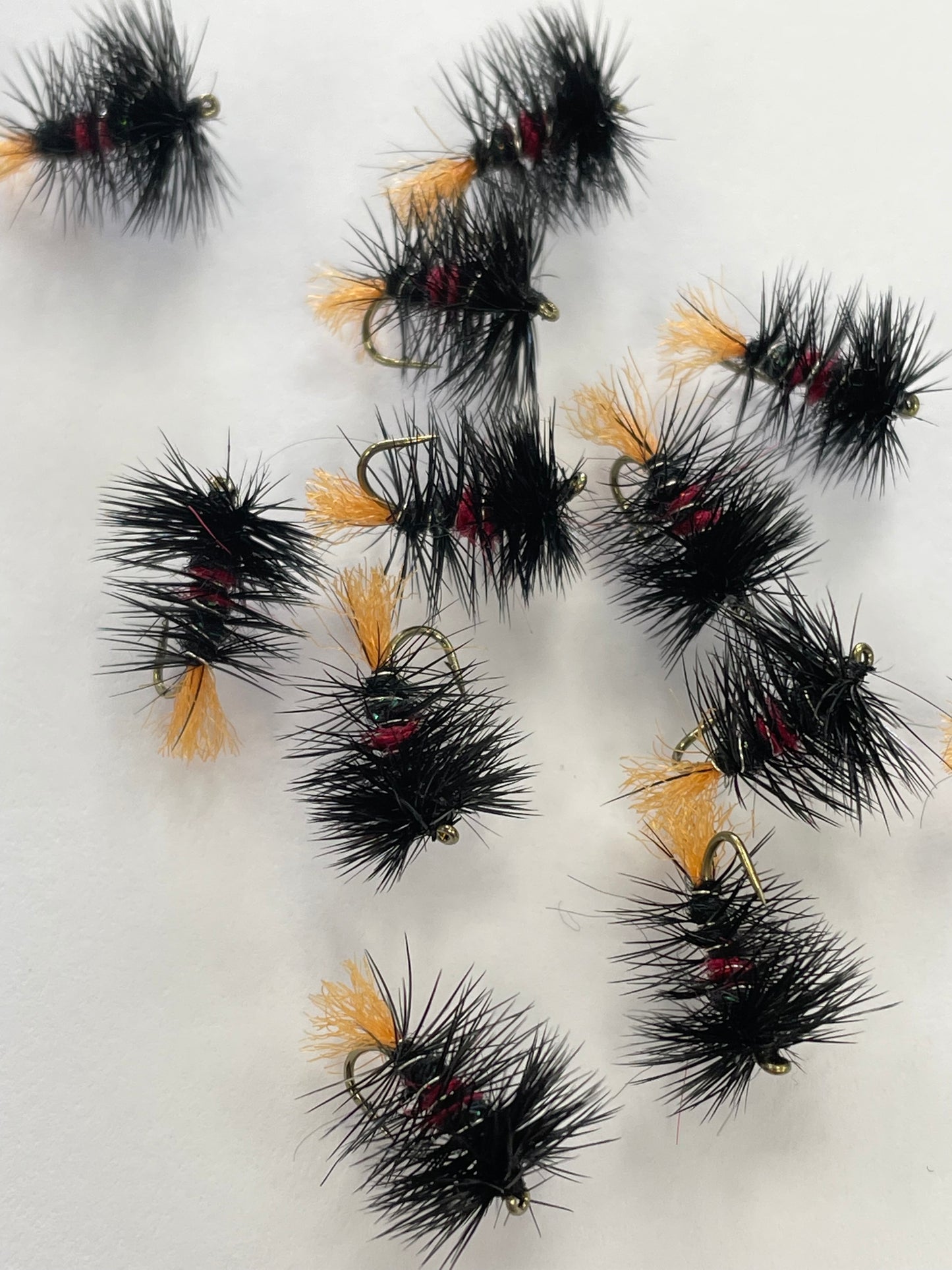 Zulu - Black / Red #14