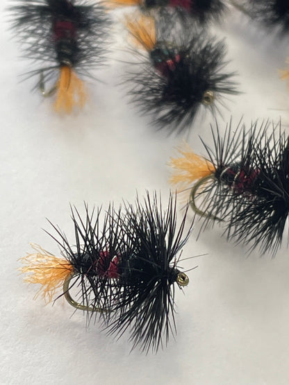 Zulu - Black / Red #14