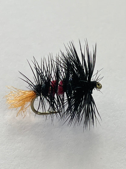 Zulu - Black / Red #14