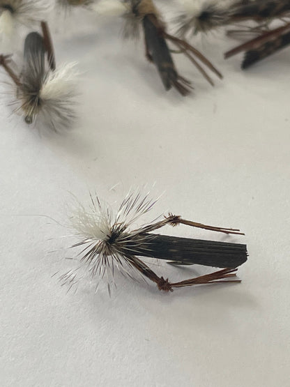 Schroeder Hopper #14