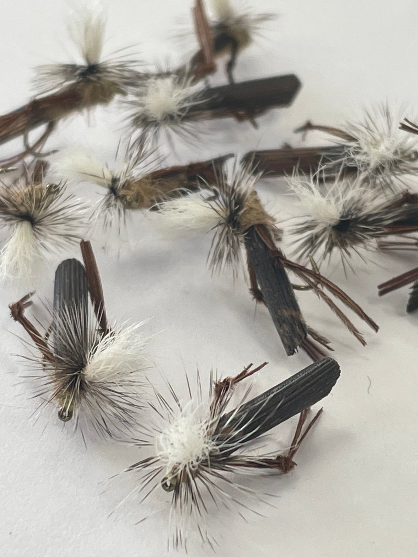 Schroeder Hopper #14