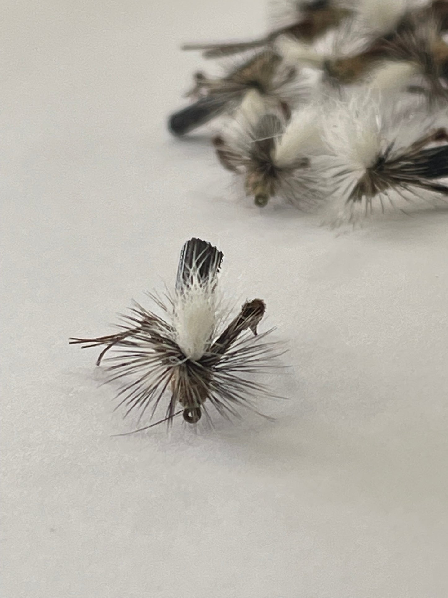 Schroeder Hopper #14