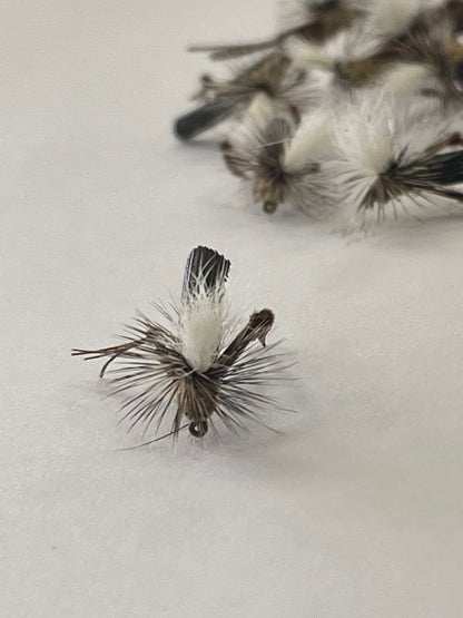 Schroeder Hopper #14