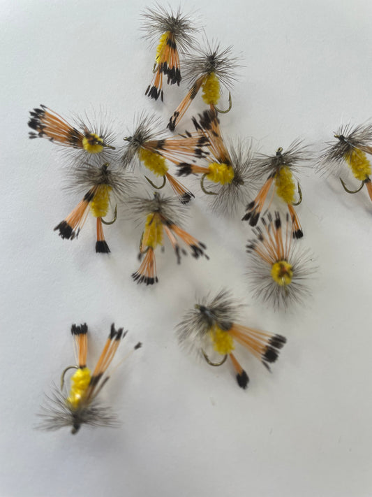 O'Brien's Hopper #14