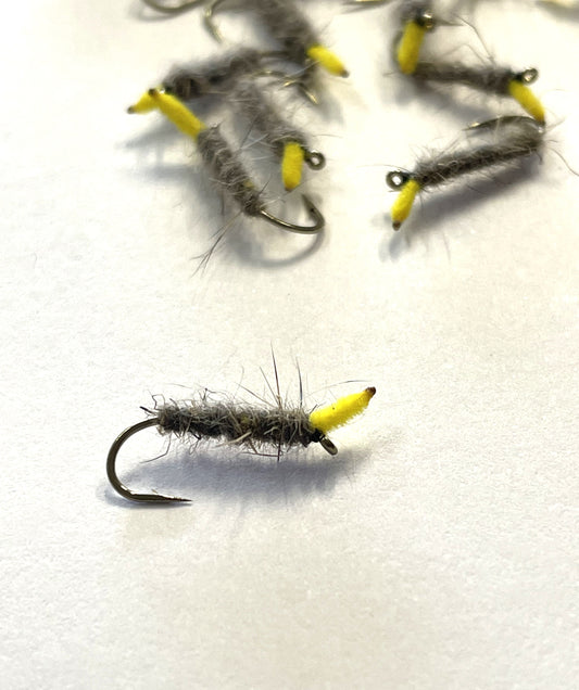 Stick Caddis  #12