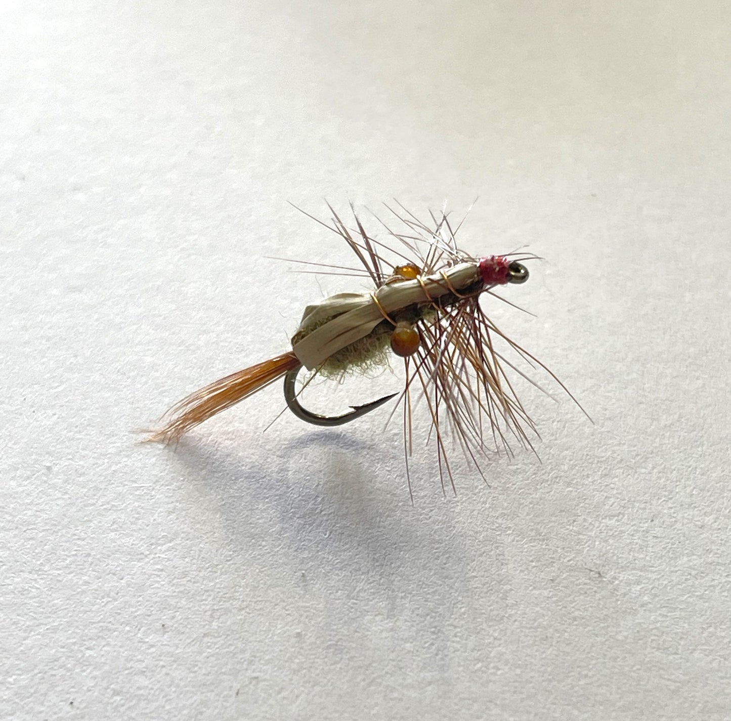 Mountain Shrimp - Brown #12
