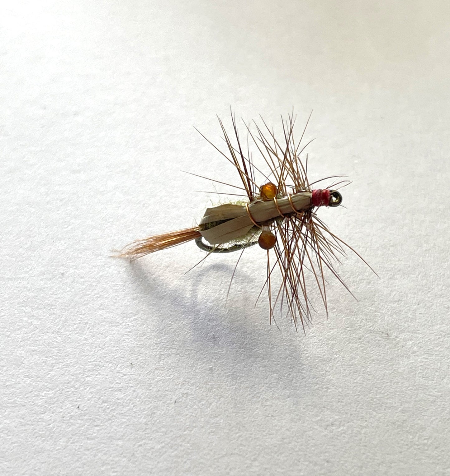 Mountain Shrimp - Brown #12