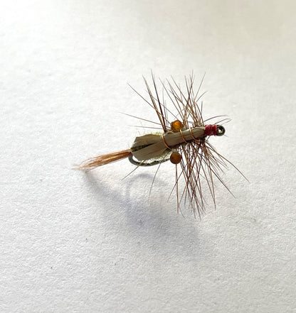 Mountain Shrimp - Brown #12