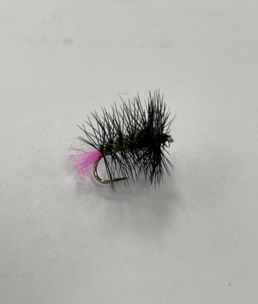 Riseley Glistner Tag #14