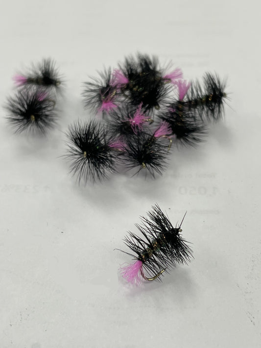 Riseley Glistner Tag #14