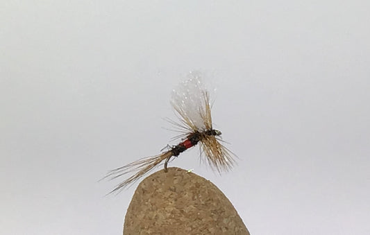 Royal Coachman Variant