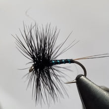 Load image into Gallery viewer, Western Lakes Black Spinner  #14