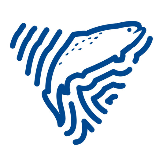 Fishing Licence One Person 28 Days