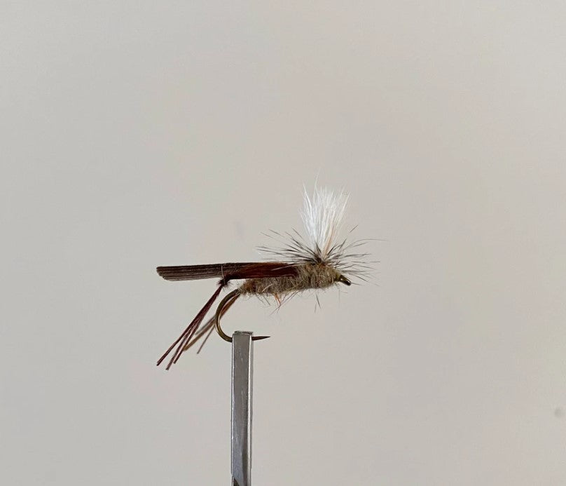 Schroeder Hopper #14