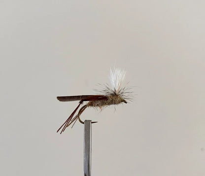 Schroeder Hopper #14